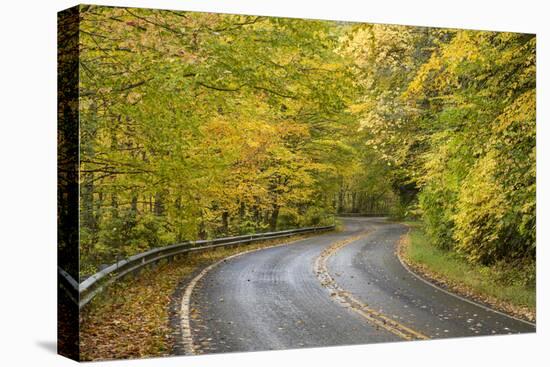 USA, North Carolina. Road Through Autumn-Colored Forest-Don Paulson-Stretched Canvas