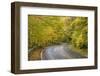 USA, North Carolina. Road Through Autumn-Colored Forest-Don Paulson-Framed Photographic Print