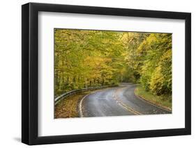 USA, North Carolina. Road Through Autumn-Colored Forest-Don Paulson-Framed Photographic Print