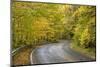 USA, North Carolina. Road Through Autumn-Colored Forest-Don Paulson-Mounted Photographic Print