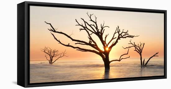 USA, North Carolina. Sunrise at Botany Bay Plantation-Jaynes Gallery-Framed Stretched Canvas