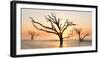 USA, North Carolina. Sunrise at Botany Bay Plantation-Jaynes Gallery-Framed Photographic Print