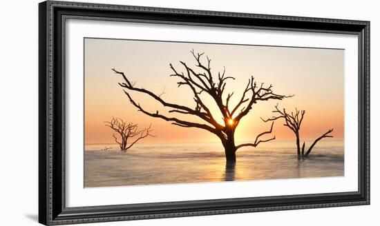 USA, North Carolina. Sunrise at Botany Bay Plantation-Jaynes Gallery-Framed Photographic Print