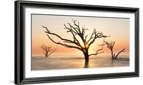 USA, North Carolina. Sunrise at Botany Bay Plantation-Jaynes Gallery-Framed Photographic Print