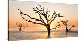 USA, North Carolina. Sunrise at Botany Bay Plantation-Jaynes Gallery-Stretched Canvas