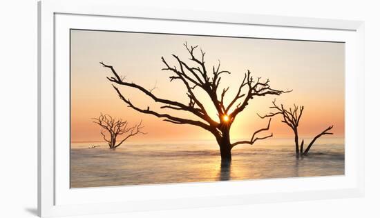 USA, North Carolina. Sunrise at Botany Bay Plantation-Jaynes Gallery-Framed Photographic Print