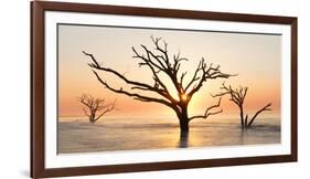 USA, North Carolina. Sunrise at Botany Bay Plantation-Jaynes Gallery-Framed Photographic Print