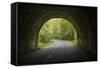 USA, North Carolina. Tunnel on the Blue Ridge Parkway-Jaynes Gallery-Framed Stretched Canvas