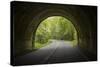 USA, North Carolina. Tunnel on the Blue Ridge Parkway-Jaynes Gallery-Stretched Canvas