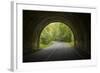 USA, North Carolina. Tunnel on the Blue Ridge Parkway-Jaynes Gallery-Framed Photographic Print