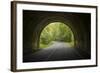 USA, North Carolina. Tunnel on the Blue Ridge Parkway-Jaynes Gallery-Framed Photographic Print