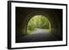 USA, North Carolina. Tunnel on the Blue Ridge Parkway-Jaynes Gallery-Framed Photographic Print