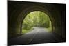 USA, North Carolina. Tunnel on the Blue Ridge Parkway-Jaynes Gallery-Mounted Photographic Print