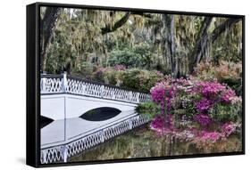 USA, North Carolina., white bridge with Azaleas and moss-covered tree-Hollice Looney-Framed Stretched Canvas