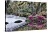 USA, North Carolina., white bridge with Azaleas and moss-covered tree-Hollice Looney-Stretched Canvas