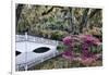 USA, North Carolina., white bridge with Azaleas and moss-covered tree-Hollice Looney-Framed Photographic Print