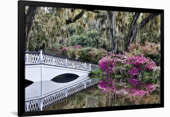 USA, North Carolina., white bridge with Azaleas and moss-covered tree-Hollice Looney-Framed Photographic Print