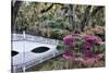 USA, North Carolina., white bridge with Azaleas and moss-covered tree-Hollice Looney-Stretched Canvas