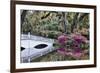 USA, North Carolina., white bridge with Azaleas and moss-covered tree-Hollice Looney-Framed Premium Photographic Print