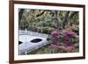 USA, North Carolina., white bridge with Azaleas and moss-covered tree-Hollice Looney-Framed Premium Photographic Print