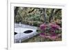 USA, North Carolina., white bridge with Azaleas and moss-covered tree-Hollice Looney-Framed Photographic Print