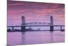 USA, North Carolina, Wilmington, Cape Fear Memorial Bridge-Walter Bibikow-Mounted Photographic Print