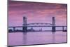 USA, North Carolina, Wilmington, Cape Fear Memorial Bridge-Walter Bibikow-Mounted Photographic Print