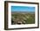 USA, North Dakota, Medora. Theodore Roosevelt National Park, South Unit, Badlands Overlook-Bernard Friel-Framed Photographic Print