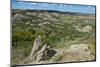 USA, North Dakota, Medora. Theodore Roosevelt National Park, South Unit, Painted Canyon Overlook-Bernard Friel-Mounted Photographic Print