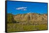 USA, North Dakota, Medora. Theodore Roosevelt National Park, South Unit, Scenic Loop Drive-Bernard Friel-Framed Stretched Canvas