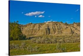 USA, North Dakota, Medora. Theodore Roosevelt National Park, South Unit, Scenic Loop Drive-Bernard Friel-Stretched Canvas