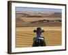 USA, North Dakota, New Salem, Salem Sue, World's Largest Holstein Cow-Walter Bibikow-Framed Photographic Print