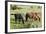 USA, North Dakota, Theodore Roosevelt National Park, Wild horses.-Jamie & Judy Wild-Framed Photographic Print