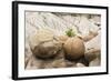 USA, North Dakota, Theodore Roosevelt NP, Cannonball Concretions.-Jamie & Judy Wild-Framed Photographic Print