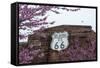 USA, Oklahoma, Chandler. Route 66 Interpretive Center.-Wendy Kaveney-Framed Stretched Canvas