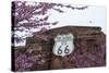 USA, Oklahoma, Chandler. Route 66 Interpretive Center.-Wendy Kaveney-Stretched Canvas