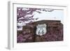 USA, Oklahoma, Chandler. Route 66 Interpretive Center.-Wendy Kaveney-Framed Photographic Print