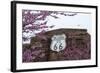 USA, Oklahoma, Chandler. Route 66 Interpretive Center.-Wendy Kaveney-Framed Photographic Print