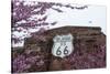 USA, Oklahoma, Chandler. Route 66 Interpretive Center.-Wendy Kaveney-Stretched Canvas