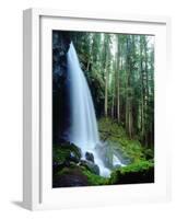 USA, Oregon, a Waterfall in an Old-Growth Forest-Jaynes Gallery-Framed Photographic Print