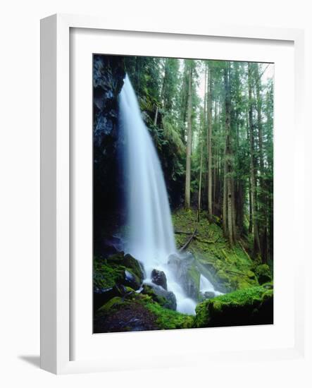 USA, Oregon, a Waterfall in an Old-Growth Forest-Jaynes Gallery-Framed Photographic Print