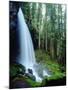 USA, Oregon, a Waterfall in an Old-Growth Forest-Jaynes Gallery-Mounted Photographic Print