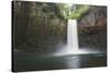 USA, Oregon. Abiqua Falls plunges into large pool.-Jaynes Gallery-Stretched Canvas
