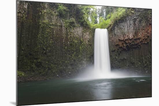 USA, Oregon. Abiqua Falls plunges into large pool.-Jaynes Gallery-Mounted Premium Photographic Print