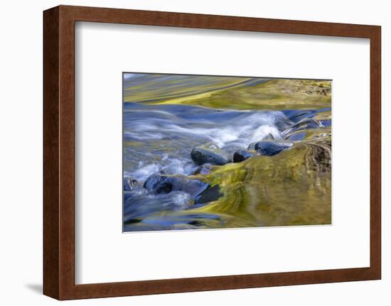 USA, Oregon. Abstract of autumn colors reflected in Wilson River rapids.-Jaynes Gallery-Framed Photographic Print