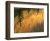 USA, Oregon. Abstract of Crooked River, Smith Rock State Park-Howie Garber-Framed Photographic Print