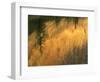 USA, Oregon. Abstract of Crooked River, Smith Rock State Park-Howie Garber-Framed Photographic Print