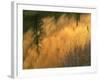 USA, Oregon. Abstract of Crooked River, Smith Rock State Park-Howie Garber-Framed Photographic Print