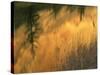 USA, Oregon. Abstract of Crooked River, Smith Rock State Park-Howie Garber-Stretched Canvas