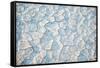 USA, Oregon, Alvord Desert. Crackled salt mineral playa on dry lake bed.-Jaynes Gallery-Framed Stretched Canvas
